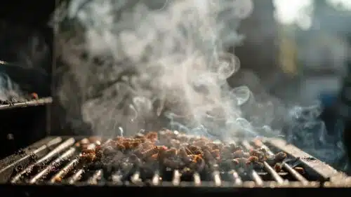 Le barbecue à pellets : la nouvelle façon de faire des grillades en plein air ?