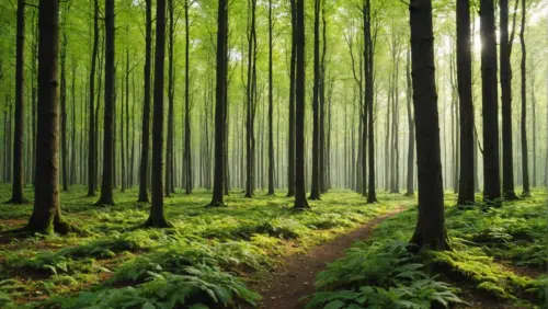 découvrez les avantages et les motivations de créer une forêt alimentaire pour un mode de vie durable et écologique.