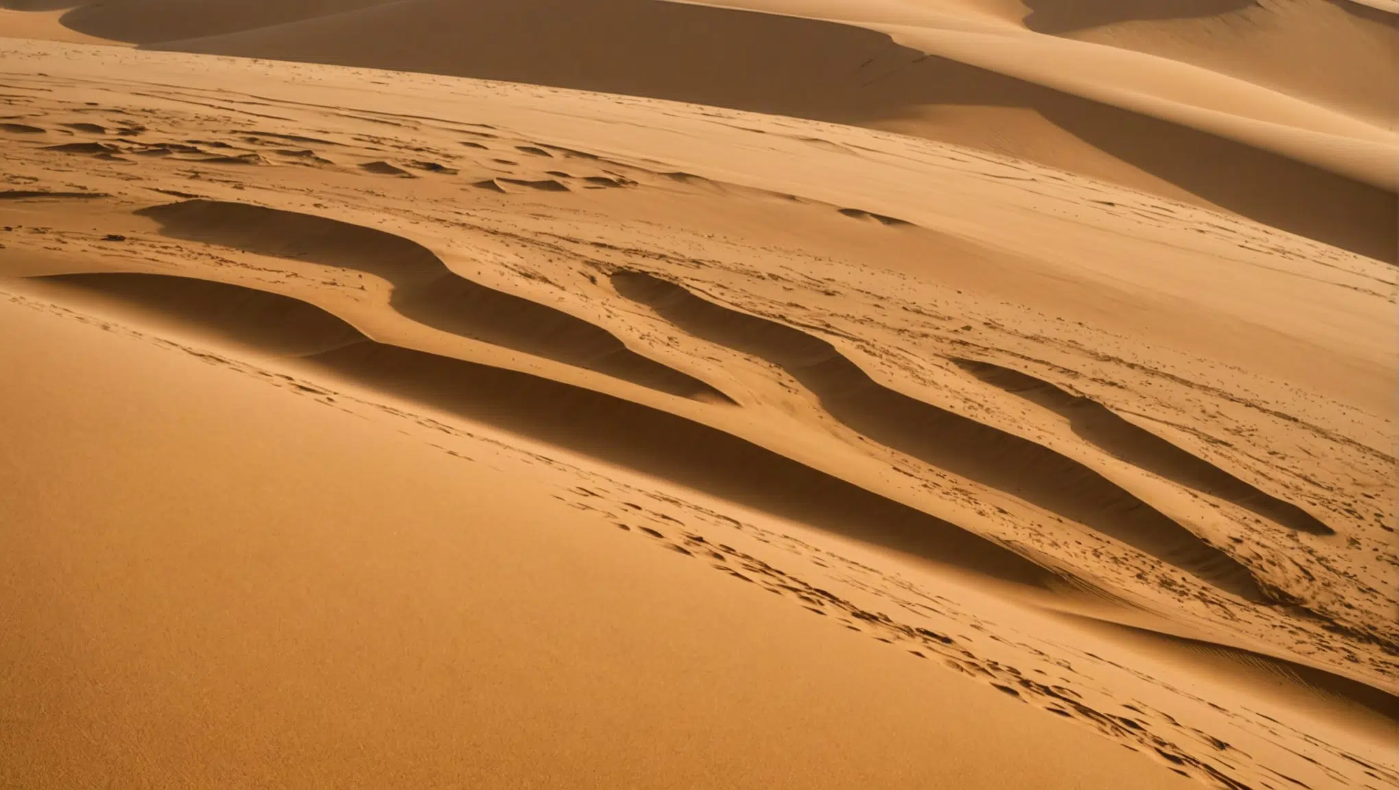 découvrez le fascinant sable du sahara en france et explorez 5 endroits surprenants où son impact vous surprendra ce week-end !