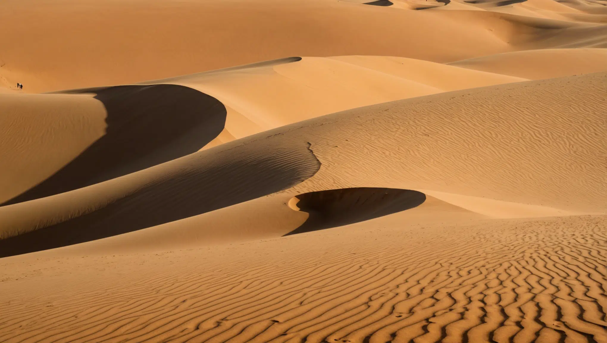 découvrez l'impact surprenant du sable du sahara en france à 5 endroits ce week-end !